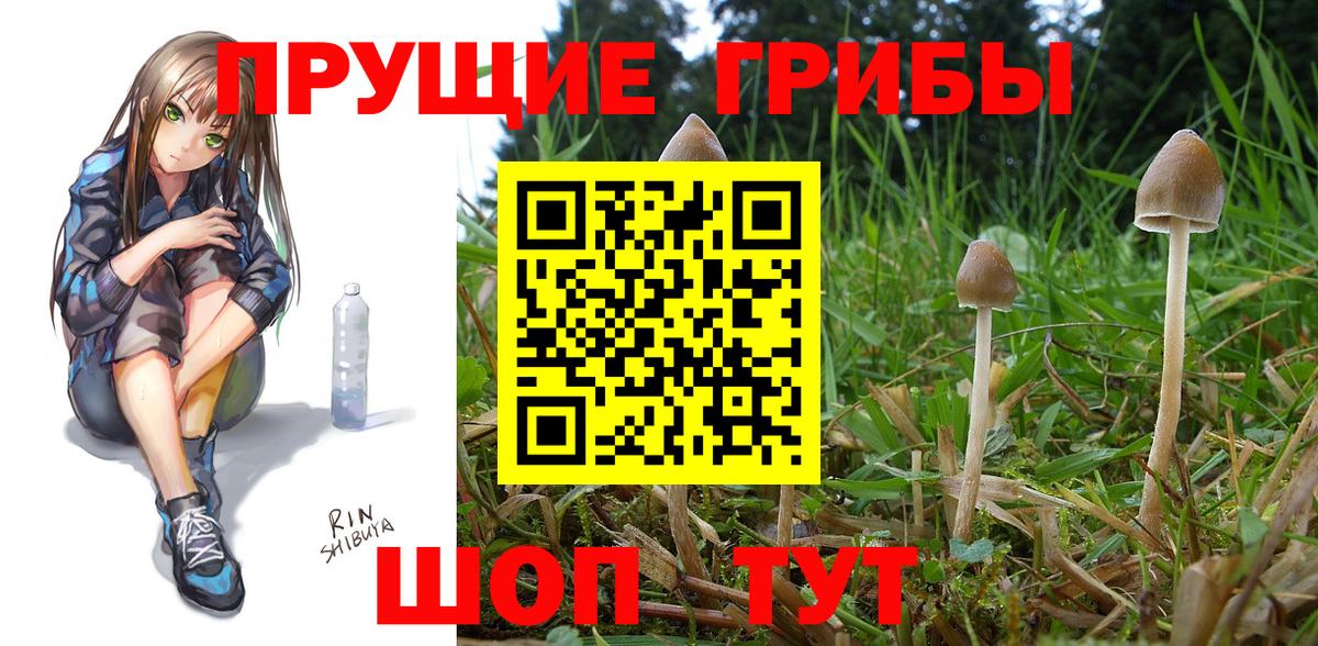 Галлюциногенные грибы GOLDEN TEACHER  Галлюциногенные грибы ЛСД  Вход с VPN  Отрадный 